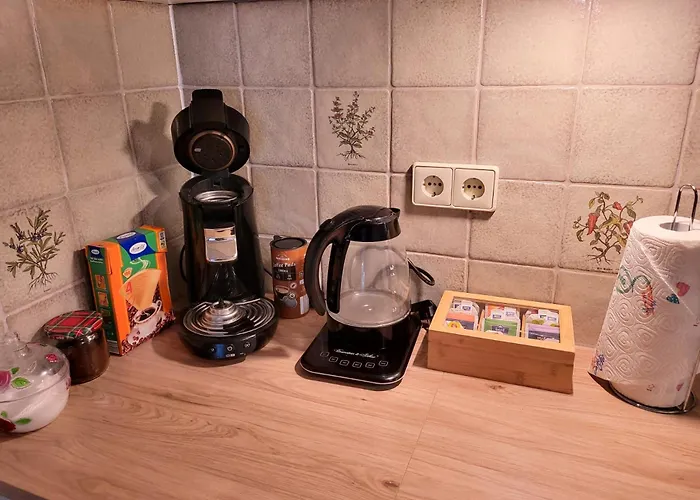 Favorable To Guests Because Of Recently Noticed Problem! Schonach Mountain-top, Forest, Free Parking, New Kitchen Appartamento Schonach im Schwarzwald