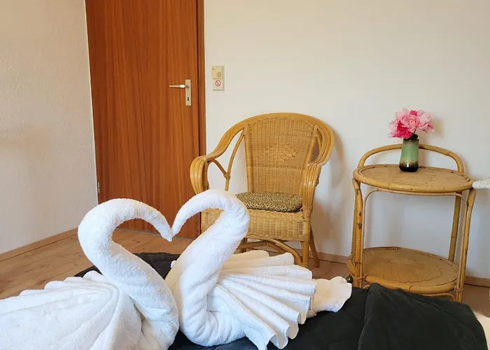 Favorable To Guests Because Of Recently Noticed Problem! Schonach Mountain-top, Forest, Free Parking, New Kitchen Appartamento Schonach im Schwarzwald