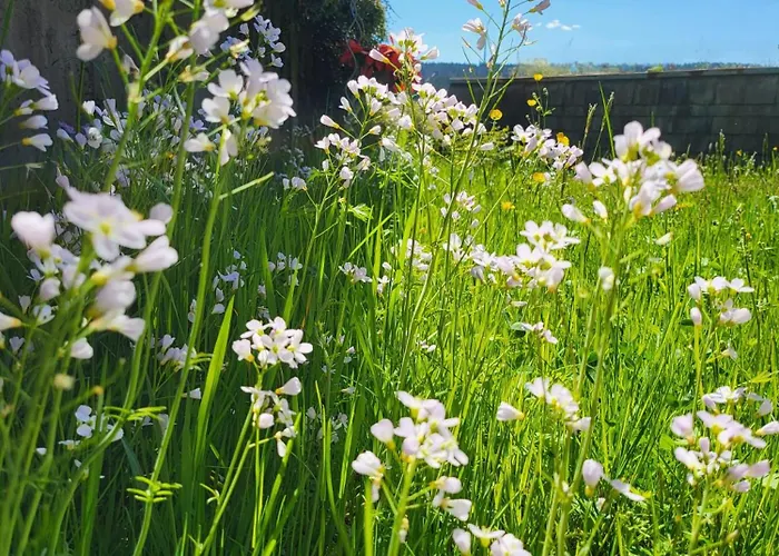 Appartamento Favorable To Guests Because Of Recently Noticed Problem! Schonach Mountain-top, Forest, Free Parking, New Kitchen Schonach im Schwarzwald